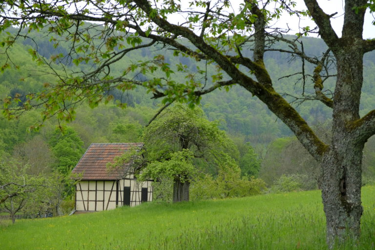 _si-3 Hütte bei Bad Urach